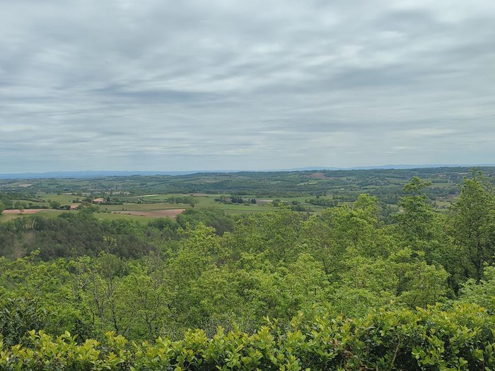 Maisons Terre d'Oc - Sainte-Cécile-du-Cayrou