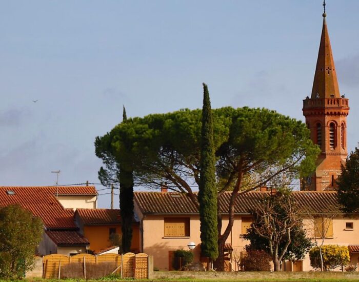 Maisons Terre d'Oc Pins-Justaret Haute-Garonne
