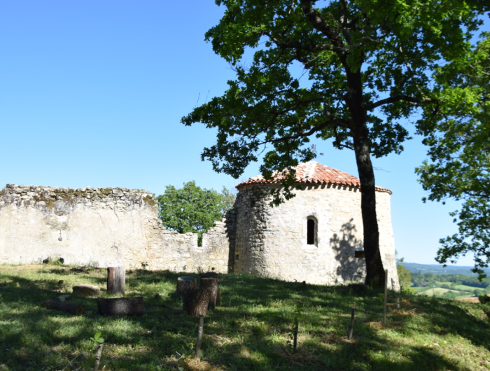 Maisons Terre d'Oc Montfa Tarn
