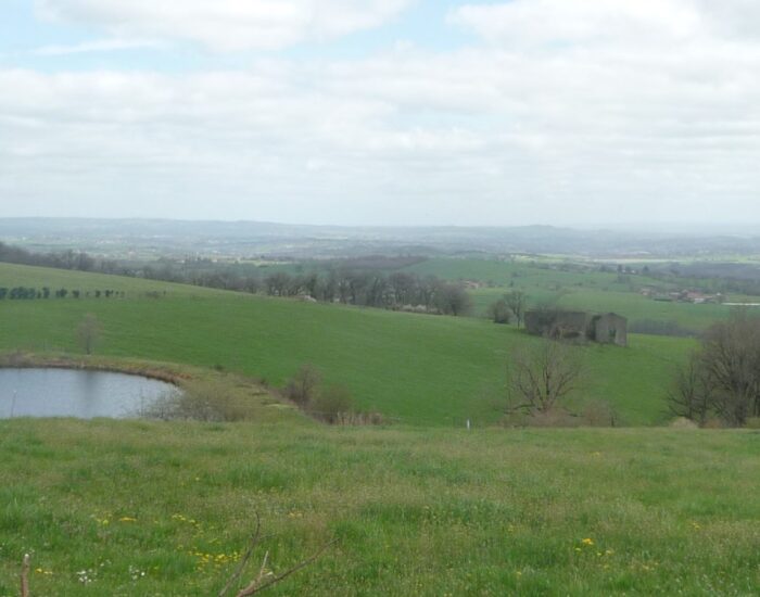 Maisons Terre d'Oc - Laparrouquial Tarn