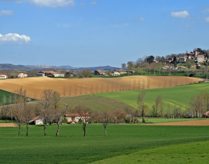 Maisons Terre d'Oc Cuq-Toulza Tarn