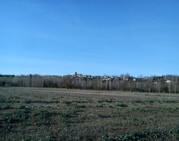 Maisons Terre d'Oc Gratens Haute Garonne