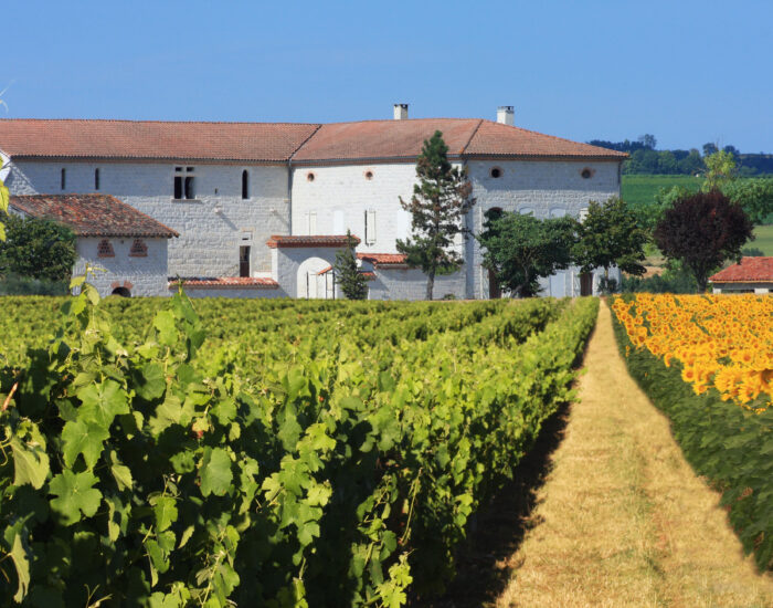 Maisons Terre d'Oc - Bernac Tarn