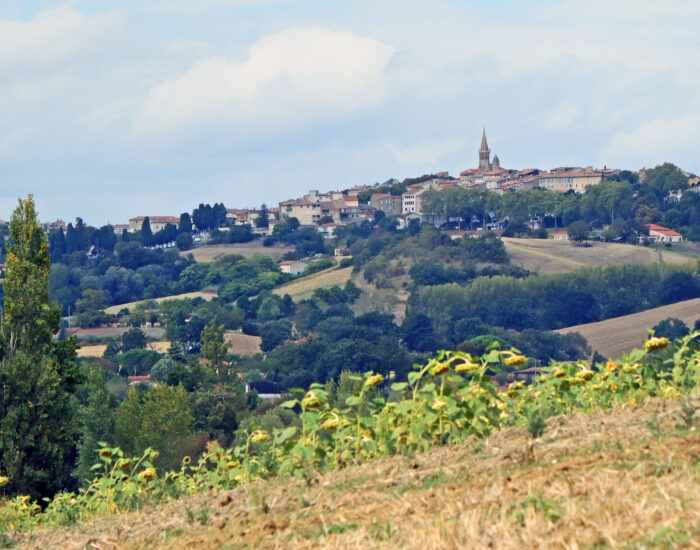 Maisons Terre d'Oc Navès Tarn