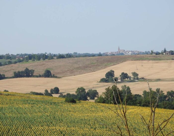Maisons Terre d'Oc Lauzerville Haute Garonne