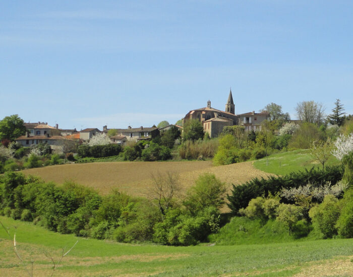 Maisons Terre d'Oc Ambres Tarn