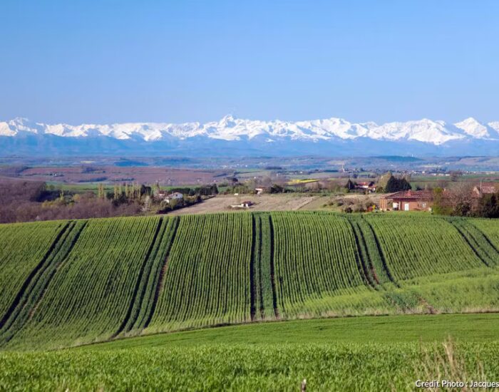 Maisons Terre d'Oc Saint-Vincent Haute Garonne