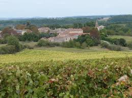 Maisons Terre d'Oc Amarens Tarn