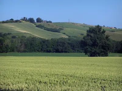Maisons Terre d'Oc Montclar-Lauragais Haute Garonne