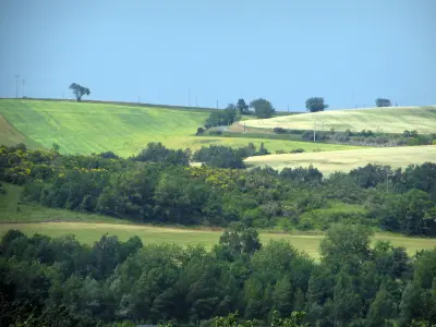 Maisons Terre d'Oc Lux Haute Garonne