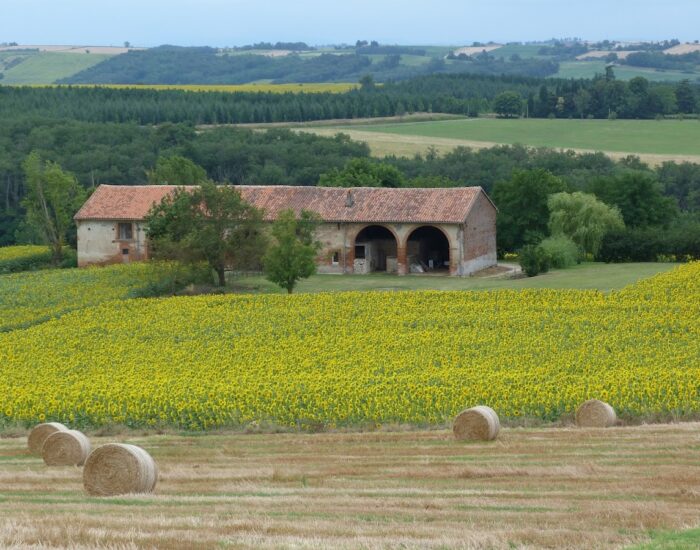 Maisons Terre d'Oc Pouze Haute Garonne