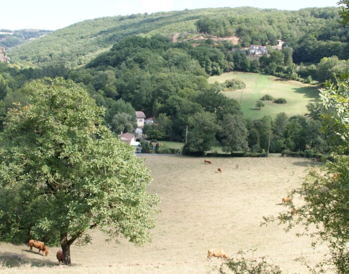 Maisons Terre d'Oc - Saint-Antonin-de-Lacalm