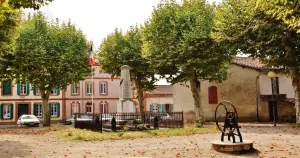 Maisons Terre d'Oc - Villefranche-d'Albigeois Tarn